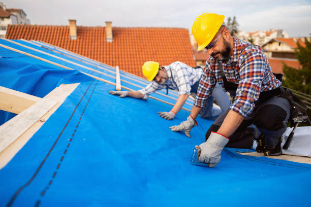Best Storm Damage Roof Repair  in Knoxville, TN